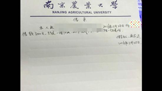 南京大学生利用校园贷骗取180余万 涉及数十同学1