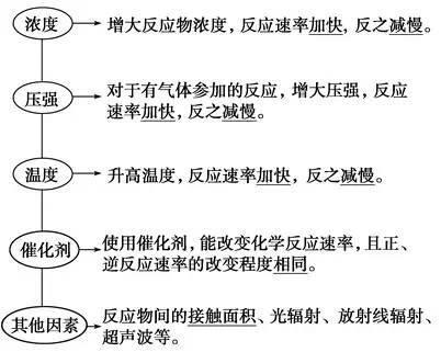 期末考复习知识点及技巧大全2