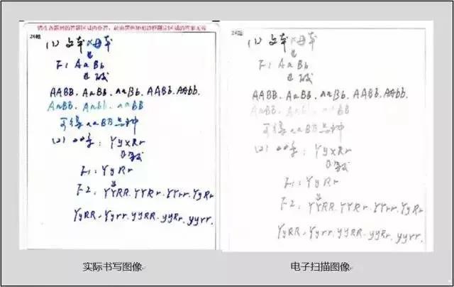 今年四川省高考仍实行网上评卷，考生答题必须注意这些细节5